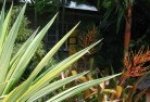 Palm Coveresidential-landscaping-54.jpg; ?>
