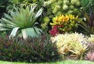 Palm Coveresidential-landscaping-58.jpg; ?>
