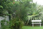 Palm Coveresidential-landscaping-8.jpg; ?>